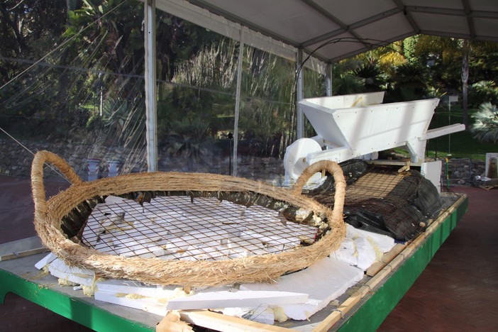 'SanremoInFiore' 2017: a Villa Ormond partono i lavori per la costruzione 'en plein air' del carro di Sanremo 'SanremoInFiore' 2017: a Villa Ormond partono i lavori per la costruzione 'en plein air' del carro di Sanremo