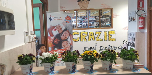 Vallecrosia: nello scorso weekend raccolti 1.600 euro grazie alla vendita della 'Violetta di Don Bosco' Vallecrosia: nello scorso weekend raccolti 1.600 euro grazie alla vendita della 'Violetta di Don Bosco'
