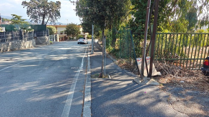 Sanremo: via Padre Semeria, non sono i pini il problema ma errori strutturali e manutenzione assente da anni