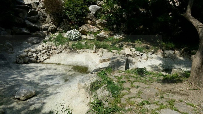 Dopo il tasso la tartaruga di Villa Ormond: morta oltre un mese fa nonostante le molte telefonate di un sanremese Dopo il tasso la tartaruga di Villa Ormond: morta oltre un mese fa nonostante le molte telefonate di un sanremese