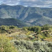 Nuova classificazione dei Comuni montani, PD all’attacco: “La Regione affronti il merito e difenda davvero l’entroterra”