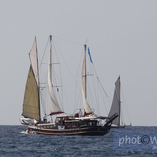 Imperia: seconda giornata delle Vele, particolari e foto