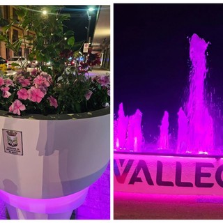 Ottobre è il mese dedicato alla prevenzione del tumore al seno, Vallecrosia al Mare si tinge di rosa (Foto) Ottobre è il mese dedicato alla prevenzione del tumore al seno, Vallecrosia al Mare si tinge di rosa (Foto)