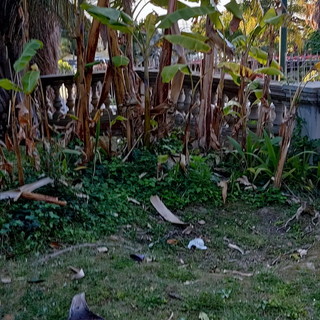 Sanremo: vandali notturni a Villa del Sole a San Martino, la segnalazione di un nostro lettore (Foto)