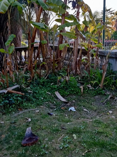 Sanremo: vandali notturni a Villa del Sole a San Martino, la segnalazione di un nostro lettore (Foto)