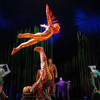 Cirque du Soleil in Varekai Cirque du Soleil in Varekai