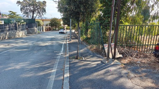 Sanremo: via Padre Semeria, non sono i pini il problema ma errori strutturali e manutenzione assente da anni