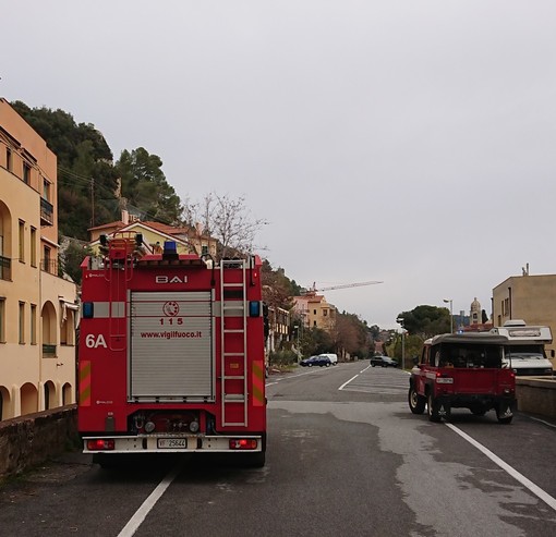 Imperia: due cagnolini rimangono imprigionati in auto, pronto l'intervento dei Vigili del Fuoco Imperia: due cagnolini rimangono imprigionati in auto, pronto l'intervento dei Vigili del Fuoco