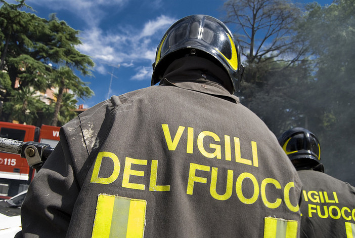 Ventimiglia, i vigili del fuoco salvano due cani caduti nel Bevera