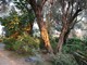 Bordighera, domani una visita guidata a villa Mariani