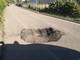 Sanremo: mezzo pesante provoca un grosso buco sulla ciclabile, scoperto ieri dalla Municipale. Ora chi paga? (Foto)