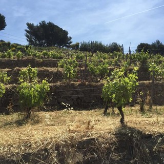 Il 7 dicembre presso il Palazzo Civico a Soldano, consegna del “Premio Diego Soracco”. Tributo alla terra e ai suoi valori Il 7 dicembre presso il Palazzo Civico a Soldano, consegna del “Premio Diego Soracco”. Tributo alla terra e ai suoi valori