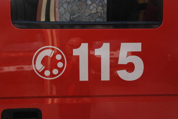 Sanremo: gatto sale su un albero e non riesce a scendere. Salvato dai Vigili del Fuoco