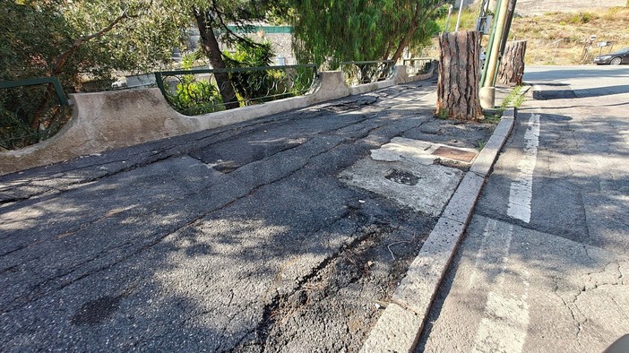 Sanremo: un lettore "Difendiamo i pini di via Padre Semeria, il verde è vita. Abbatterli è la scelta sbagliata" Sanremo: un lettore "Difendiamo i pini di via Padre Semeria, il verde è vita. Abbatterli è la scelta sbagliata"