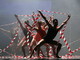 Grande successo per la stagione estiva della Compagnia di danza ‘Ariston Proballet Sanremo’, tante novità in arrivo