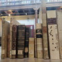 Bordighera: appuntamento imperdibile alla Biblioteca Bicknell in occasione della Giornata Mondiale del Libro 2024