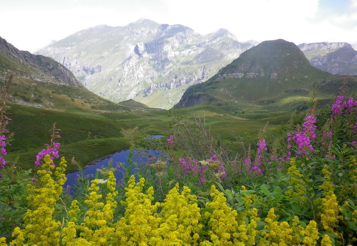 Domenica prossima appuntamento con panorami da cartolina nell'escursione sulla 'Via del Sale' Domenica prossima appuntamento con panorami da cartolina nell'escursione sulla 'Via del Sale'