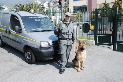 Ventimiglia: 20 kg di marijuana nel doppio fondo delle valigie, la Gdf arresta il corriere, una donna romena Ventimiglia: 20 kg di marijuana nel doppio fondo delle valigie, la Gdf arresta il corriere, una donna romena