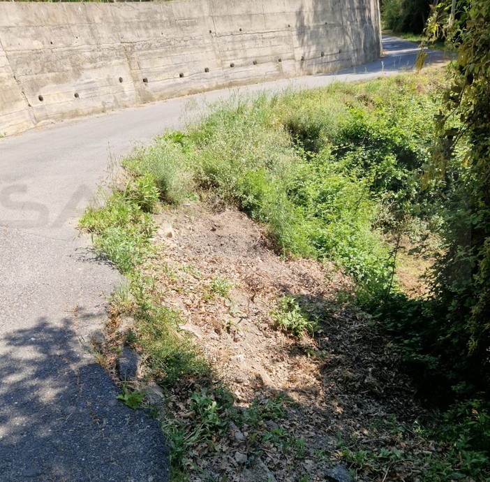 Sanremo: via delle Fonti a rischio crollo, l'allarme e la paura lanciati dai residenti della zona (Foto) Sanremo: via delle Fonti a rischio crollo, l'allarme e la paura lanciati dai residenti della zona (Foto)