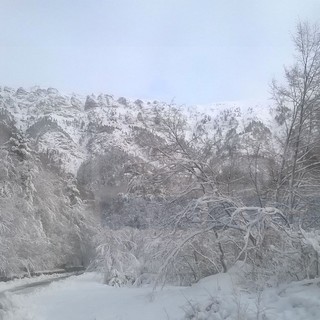 Nevicata di stanotte sulle Alpi Marittime: ecco le immagini di Gianni Bracco stamani a Verdeggia