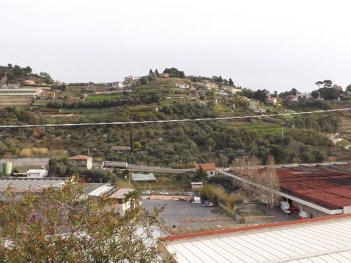 Nuova vita per la Valle Armea: nasce l'Associazione 'Viva... Armea, Armea… Viva', domenica la grande festa Nuova vita per la Valle Armea: nasce l'Associazione 'Viva... Armea, Armea… Viva', domenica la grande festa