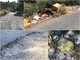 Sanremo: a Bussana l’abbandono di via Frantoi e Canai tra buche sempre più profonde e una discarica che si allarga a vista d’occhio (Foto e Video) Sanremo: a Bussana l’abbandono di via Frantoi e Canai tra buche sempre più profonde e una discarica che si allarga a vista d’occhio (Foto e Video)