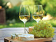 Giovedì 27 a Genova il Concorso Nazionale per miglior sommelier del Vermentino Giovedì 27 a Genova il Concorso Nazionale per miglior sommelier del Vermentino