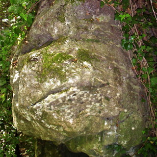 Pigna: su Rio Carne scoperta la schematizzazione simmetrica intenzionale di un volto scolpito nella roccia