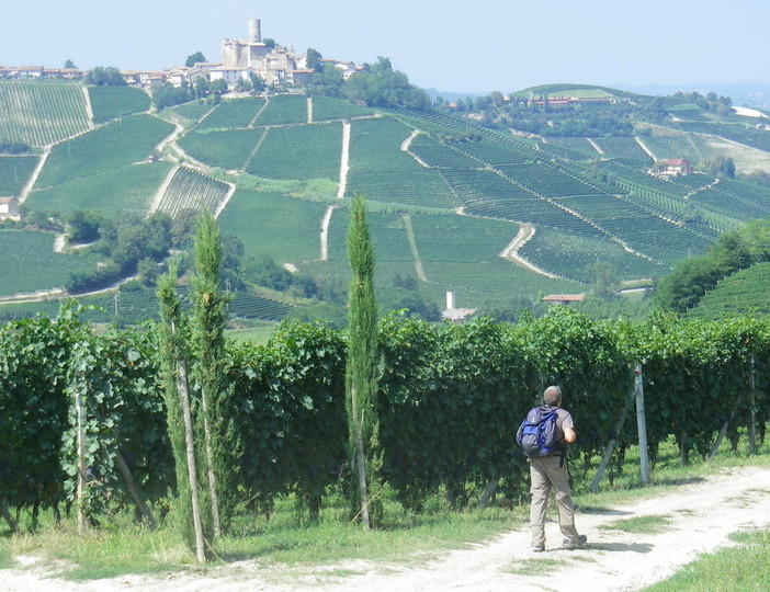 Da Colle di Nava alla scoperta del Barolo, domenica il Tour con la guida Marco Rosso