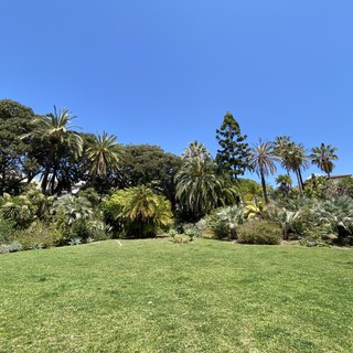 Il parco di Villa Ormond