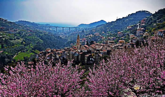 Piano fiere: assegnati dalla Regione 200mila euro a 9 eventi sul territorio, Assessore Rixi “Progetti presentati tutti di eccellenza”