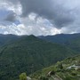 Biodiversità in aree protette, il Liguria via ai progetti di valorizzazione e monitoraggio per oltre 400 mila euro