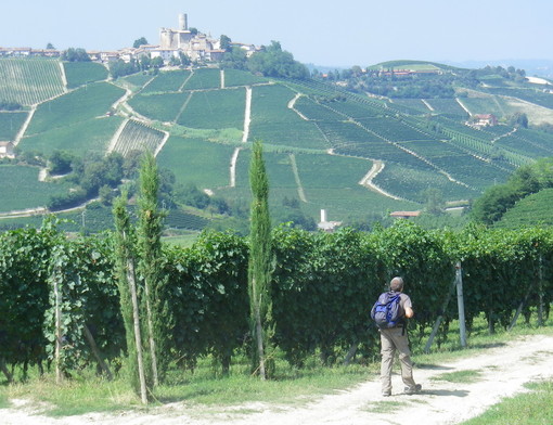 Da Colle di Nava alla scoperta del Barolo, domenica il Tour con la guida Marco Rosso Da Colle di Nava alla scoperta del Barolo, domenica il Tour con la guida Marco Rosso