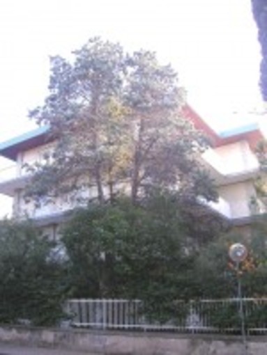 Dopo tre tentativi a vuoto dimezzato il prezzo di Villa Alda a Bordighera: la Provincia di Cuneo “svende” il suo gioiello