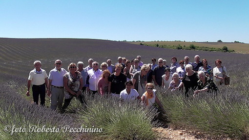 40 sanremesi hanno partecipato domenica scorsa alla 'Festa della Lavanda' a Valensole (Aix en Provence) 40 sanremesi hanno partecipato domenica scorsa alla 'Festa della Lavanda' a Valensole (Aix en Provence)