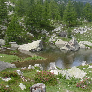 Domenica 23 giugno, escursione Attraverso le Alpi Liguri nel 'Parc National du Mercantour' Domenica 23 giugno, escursione Attraverso le Alpi Liguri nel 'Parc National du Mercantour'
