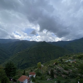 Coldiretti trova l'accordo con la Regione: gli sfalci del verde non saranno più rifiuti speciali Coldiretti trova l'accordo con la Regione: gli sfalci del verde non saranno più rifiuti speciali