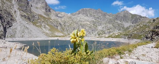 Sabato e domenica prossimi 'Monesi Young' propone l’escursione nella ‘Valle delle Meraviglie’
