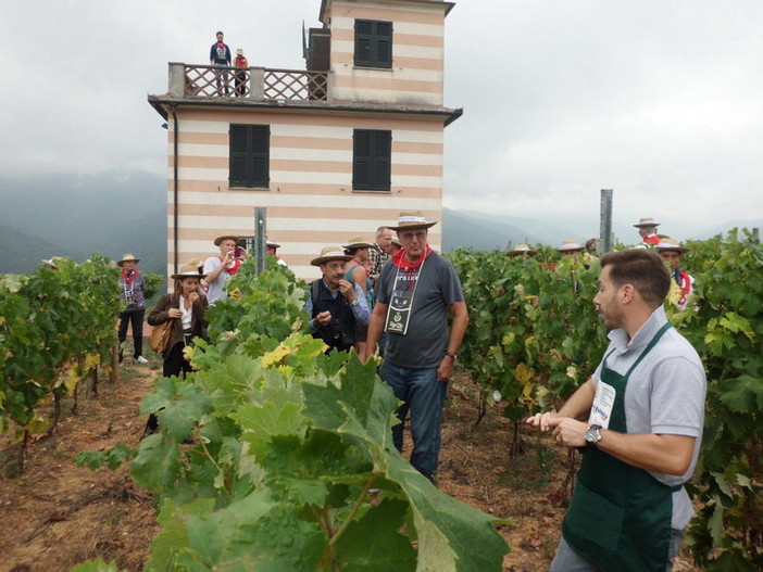 ‘Ranzo tourism experience’: #art&wine in vigna per gli special guest del residence ‘Le terrazze’ di Alassio ‘Ranzo tourism experience’: #art&wine in vigna per gli special guest del residence ‘Le terrazze’ di Alassio