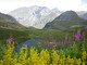 Escursione dal Bosco di Rezzo al Monte Monega:  l’iniziativa del Parco delle Alpi Liguri per la Settimana Europea dei Parchi  e la Giornata Mondiale della Biodiversità