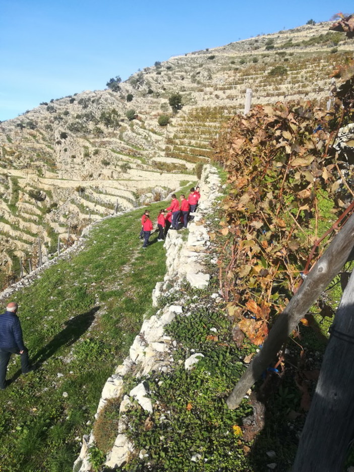 Ventimiglia: visita degli alunni di quarta della 'Santa Marta' oggi alla 'Trincea' di Airole (Foto) Ventimiglia: visita degli alunni di quarta della 'Santa Marta' oggi alla 'Trincea' di Airole (Foto)