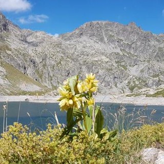 Sabato e domenica prossimi 'Monesi Young' propone l’escursione nella ‘Valle delle Meraviglie’