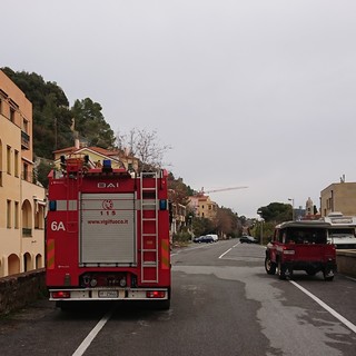Imperia: due cagnolini rimangono imprigionati in auto, pronto l'intervento dei Vigili del Fuoco Imperia: due cagnolini rimangono imprigionati in auto, pronto l'intervento dei Vigili del Fuoco