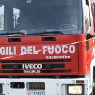 Ventimiglia: intervento dei pompieri per un cigno ferito da un amo alla foce del Roja