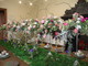 Villa Ormond in Fiore al via: l’esposizione foreale “Floranga” e il Concorso Internazionale di Decorazione Floreale