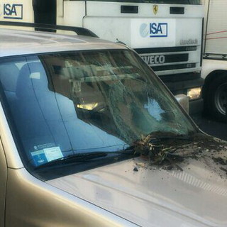 Ventimiglia: il forte vento fa cadere un pesante vaso su un'auto in transito, per fortuna nessun ferito Ventimiglia: il forte vento fa cadere un pesante vaso su un'auto in transito, per fortuna nessun ferito