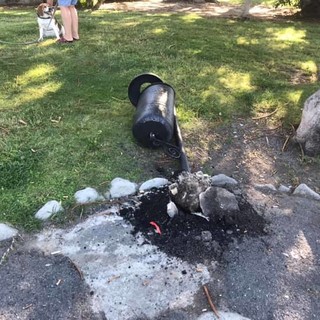 Un cestino nei giardini di Bordighera vandalizzato nei giorni scorsi