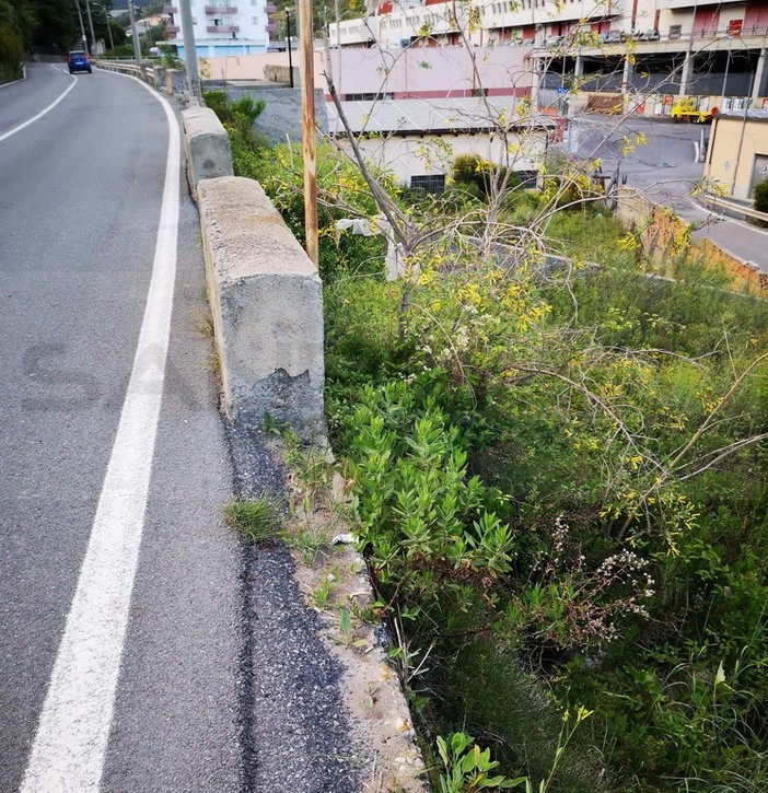 Sanremo: in via Armea una zona degradata ed a rischio per il transito, residenti chiedono un intervento (Foto) Sanremo: in via Armea una zona degradata ed a rischio per il transito, residenti chiedono un intervento (Foto)