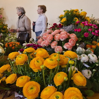 Sanremo: 'Villa Ormond in Fiore', notevole successo di partecipazione per il grande evento sul fiore che chiuderà domani (foto)