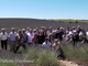 40 sanremesi hanno partecipato domenica scorsa alla 'Festa della Lavanda' a Valensole (Aix en Provence) 40 sanremesi hanno partecipato domenica scorsa alla 'Festa della Lavanda' a Valensole (Aix en Provence)